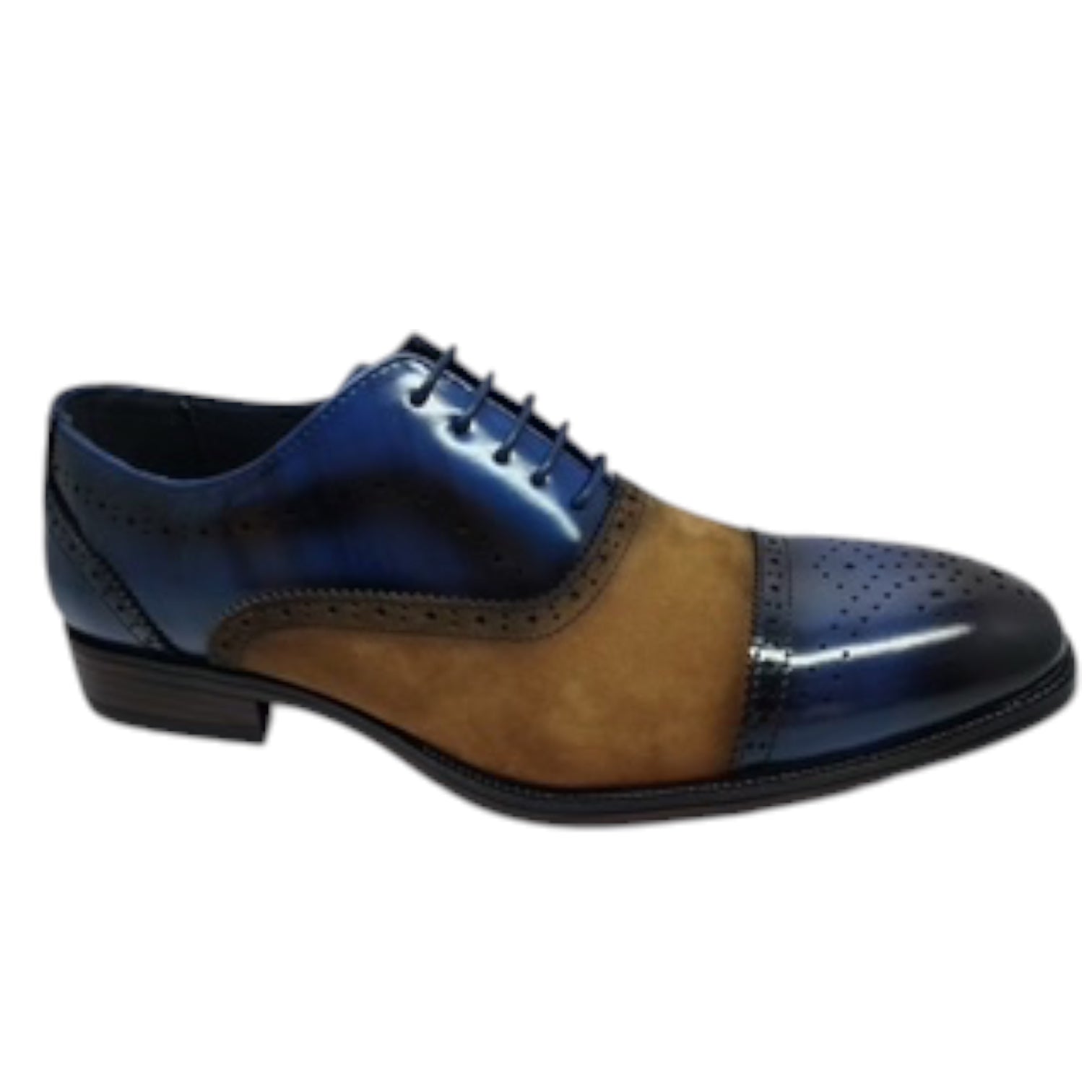 TERRONI: 2 Tone Dress Shoe S02